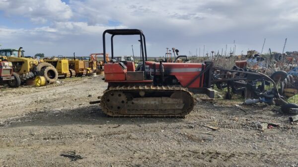 MASSEY FERGUSON 294 CADENA